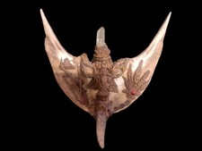 Sciamano Rituali osso Corno Cristallo