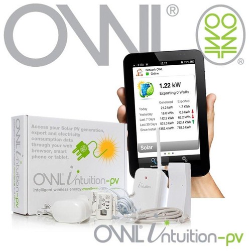 Owl intuition energia - owl,