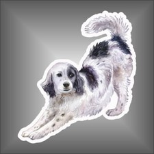 adesivo cane setter  sticker