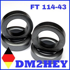 Vero nucleo toroidale Amidon