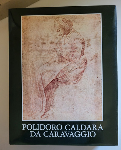 Polidoro caldara caravaggio - caldara, da