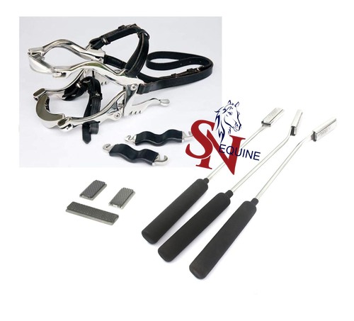 Kit odontoiatrico equino con