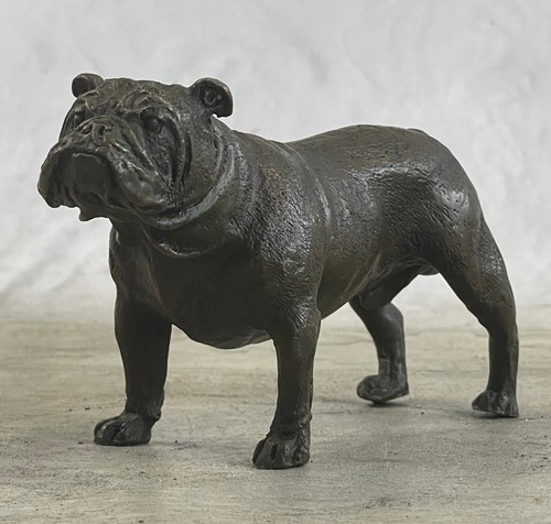 Figura cane bulldog - di, inglese