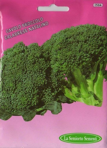 300 semi seeds - 300, cavolo