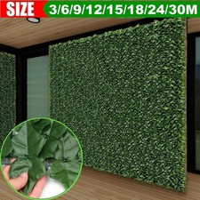 3-30 m siepe edera recinzione