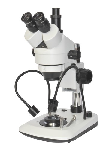Microscopio stereo darkfield - microscopio,