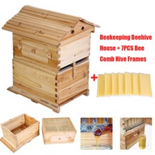 Scatola legno per - legno,