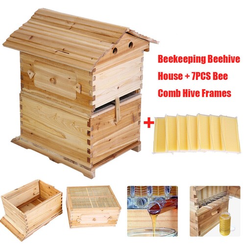 Scatola legno per alveare - legno,