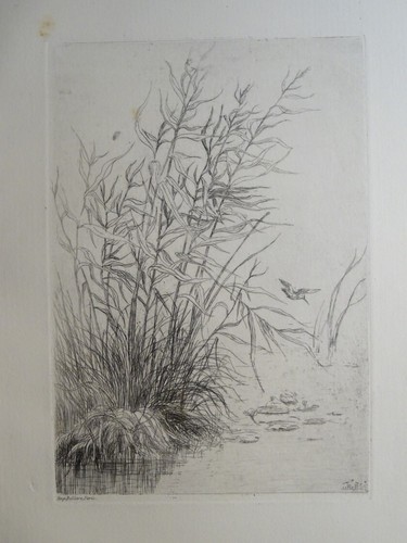 Léon goaesbe bellée - léon,