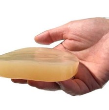 Kombucha Scoby biologico 1