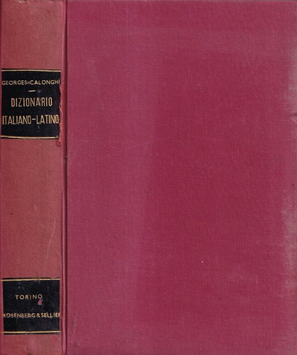 Dizionario della lingua
