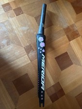 Forcella anteriore in carbonio