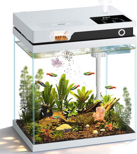 Acquario per pesci - rossi, da