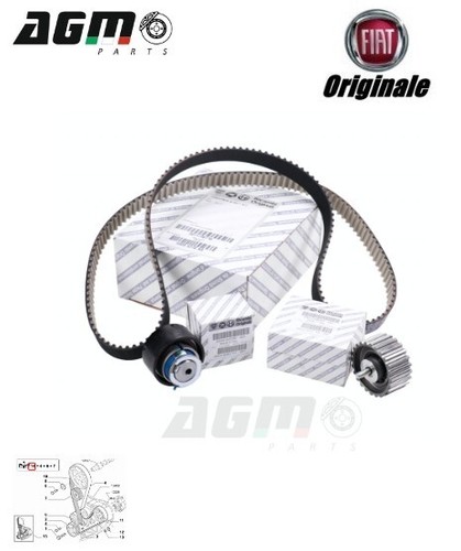 Kit cinghia distribuzione - kit,