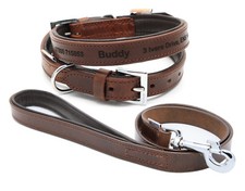 Collare + Guinzaglio Cane