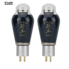 2PCS Treasure Series 300B-Z