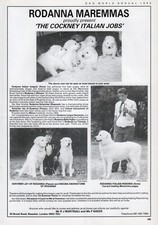 MAREMMA DOG 1993 DOG BREED