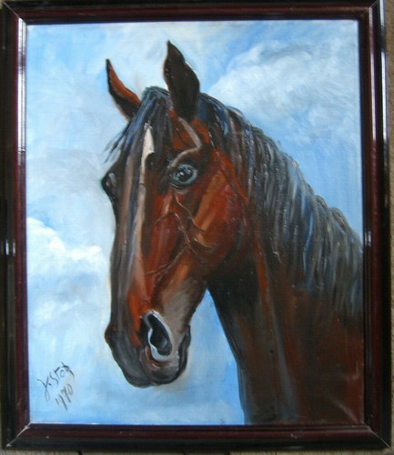 Stor cavallo braun testa - j.,