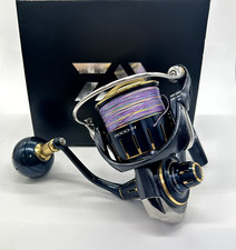 "Eccellente" DAIWA 23 Saltiga