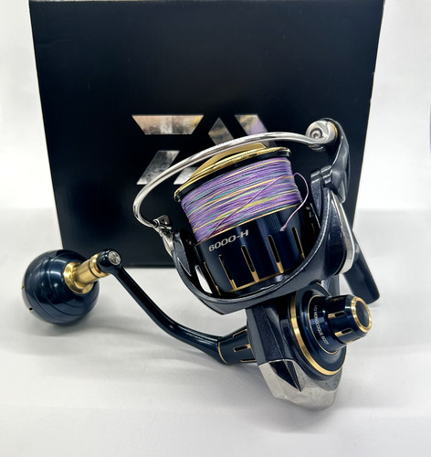 Eccellente daiwa 23 saltiga - "eccellente",