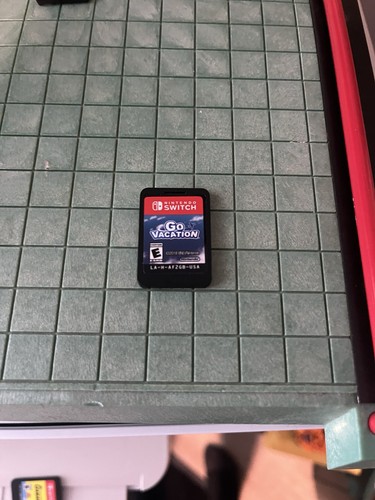 Vacation nintendo switch - go,