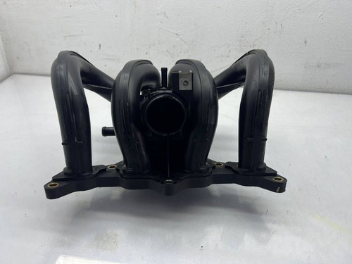 Collettore aspirazione benzina