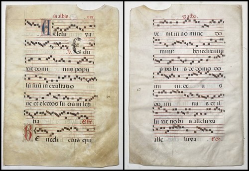 Antifonario pergamena vellum - antifonario,