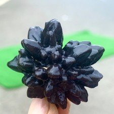 Pietra profetica grezza naturale 48 pietra bodhi cristallo reiki rocce minerali esemplare