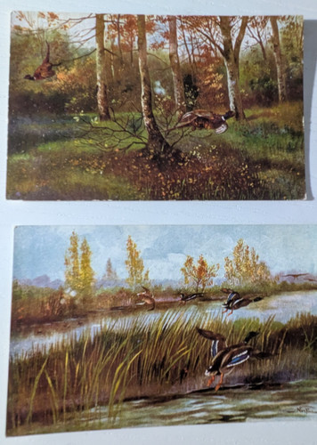 Cartoline illustrate pittore - illustrate,