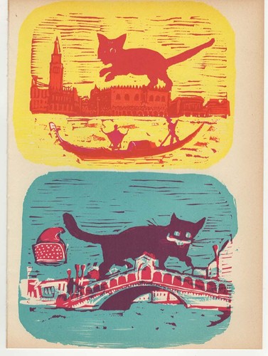 Mino maccari gatti a - -,