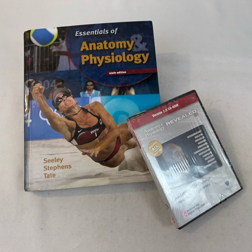 Essentials human anatomy - of,