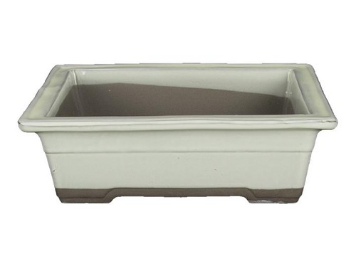 Vaso per bonsai giapponese - bonsai,
