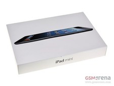 iPad mini Wi-Fi/Verizon, 16GB