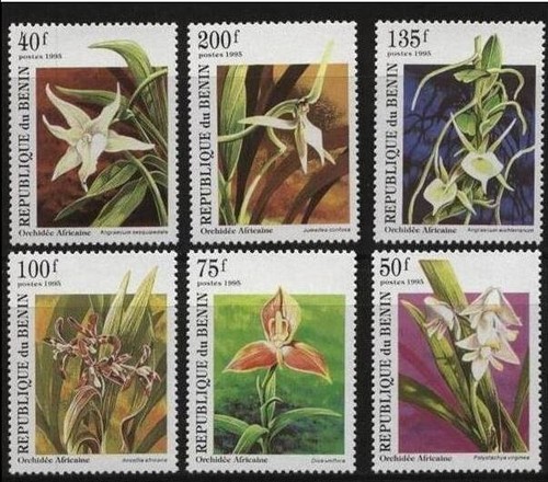 Benin 1995 mnh fiore - 1995,