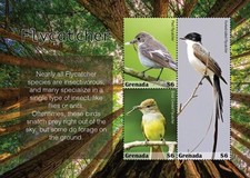 Grenada 2020 - Flycatcher