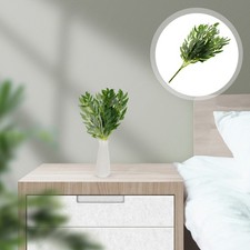 Foglie Finte Piantine