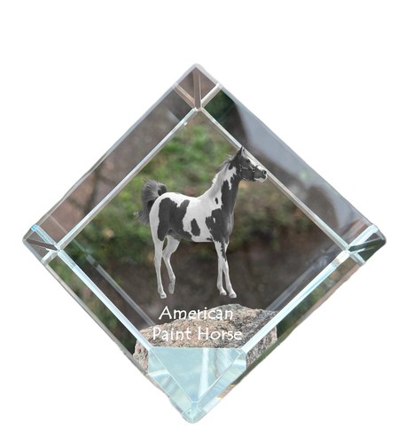 American paint horse collana - american,