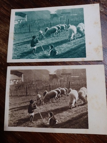 Cartoline vintage - cartoline,