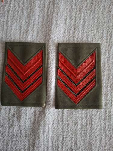 Corpo forestale guardia - corpo,