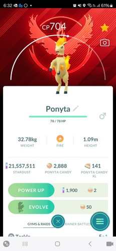 Ponyta candela team valor - team,