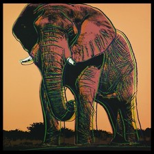 ANDY WARHOL  -  STAMPA