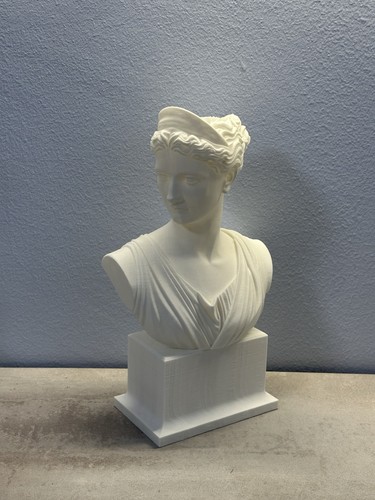 Busto stile venere - busto, di