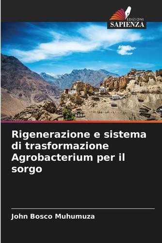 Rigenerazione sistema di - e,