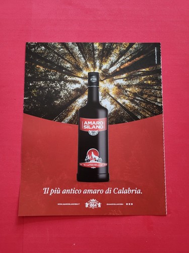 Amaro silano calabria - amaro,