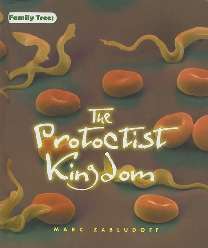 The protoctist kingdom - protoctist,