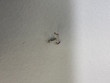 Rolex 3135-421  Pallet fork cal. 3130 3135