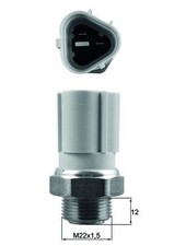 Thermal switch radiator fan