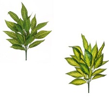 Mazzo Dieffenbachia Cm 75