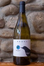 Maje 2022 Pigato Riviera