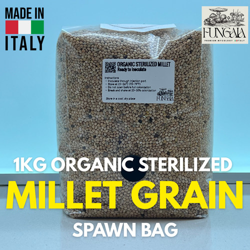 1kg miglio bio sterilizzato - 1kg,